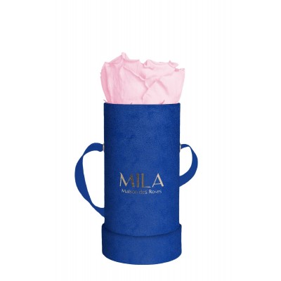 Produit Mila-Roses-00819 Mila Velvet Baby Royal Blue Velvet Baby - Pink Blush