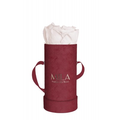 Produit Mila-Roses-00872 Mila Velvet Baby Burgundy Velvet Baby - Pink bottom