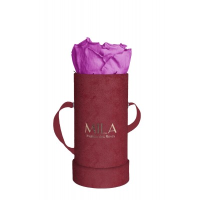 Produit Mila-Roses-00877 Mila Velvet Baby Burgundy Velvet Baby - Mauve