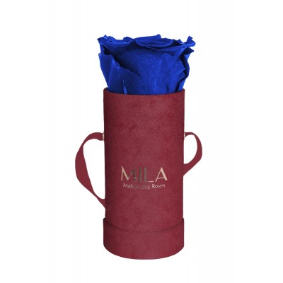 Produit Mila-Roses-00879 Mila Velvet Baby Burgundy Velvet Baby - Royal blue