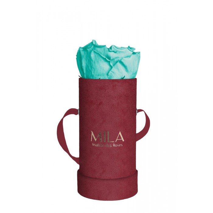 Mila Velvet Baby Burgundy Velvet Baby - Aquamarine