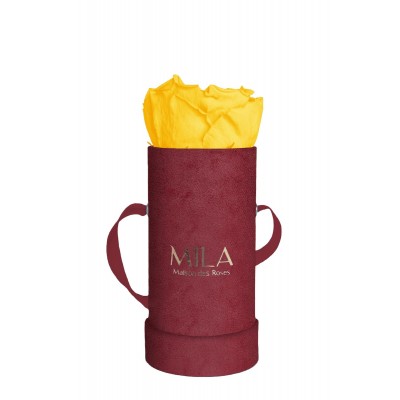 Produit Mila-Roses-00882 Mila Velvet Baby Burgundy Velvet Baby - Yellow Sunshine