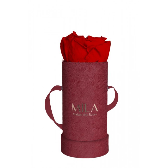 Mila Velvet Baby Burgundy Velvet Baby - Rouge Amour