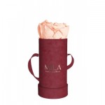  Mila-Roses-00890 Mila Velvet Baby Burgundy Velvet Baby - Pure Peach