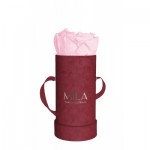  Mila-Roses-00891 Mila Velvet Baby Burgundy Velvet Baby - Pink Blush