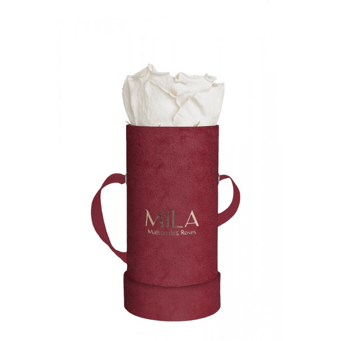 Mila Velvet Baby Burgundy Velvet Baby - White Cream