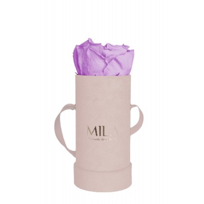 Produit Mila-Roses-00902 Mila Velvet Baby Old Pink Velvet Baby - Lavender