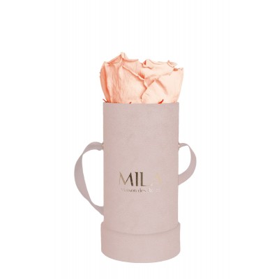 Produit Mila-Roses-00914 Mila Velvet Baby Old Pink Velvet Baby - Pure Peach