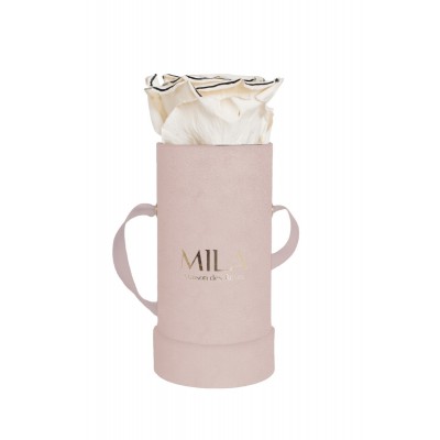 Produit Mila-Roses-00916 Mila Velvet Baby Old Pink Velvet Baby - Haute Couture