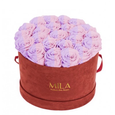 Produit Mila-Roses-00919 Mila Burgundy Velvet Large - Vintage rose