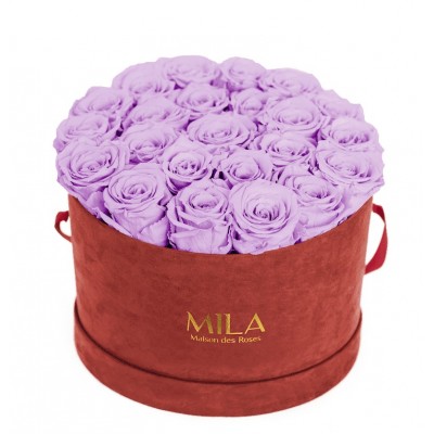 Produit Mila-Roses-00926 Mila Burgundy Velvet Large - Lavender