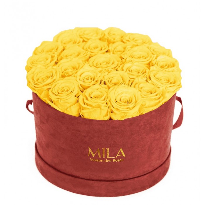 Mila Burgundy Velvet Large - Yellow Sunshine