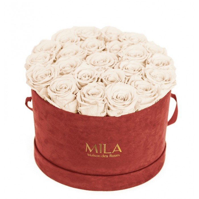 Mila Burgundy Velvet Large - White Cream