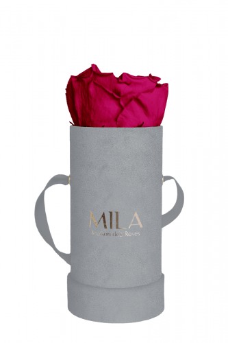 Produit Mila-Roses-00946 Mila Velvet Baby Light Grey Velvet Baby - Fuchsia