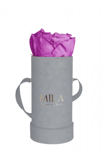 Produit Mila-Roses-00949 Mila Velvet Baby Light Grey Velvet Baby - Mauve