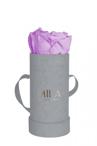 Produit Mila-Roses-00950 Mila Velvet Baby Light Grey Velvet Baby - Lavender