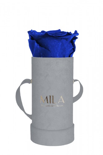 Produit Mila-Roses-00951 Mila Velvet Baby Light Grey Velvet Baby - Royal blue