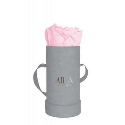 Produit Mila-Roses-00963 Mila Velvet Baby Light Grey Velvet Baby - Pink Blush