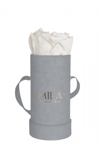 Produit Mila-Roses-00966 Mila Velvet Baby Light Grey Velvet Baby - White Cream