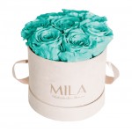 Mila-Roses-00976 Mila Velvet Small Nude Velvet Small - Aquamarine