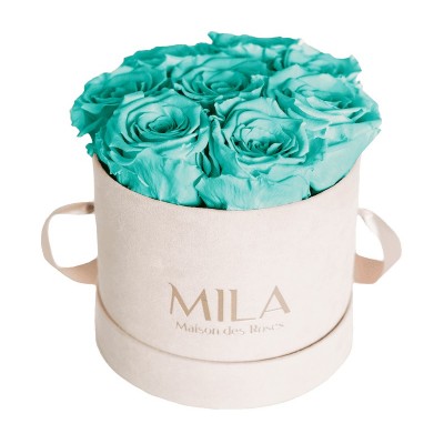 Produit Mila-Roses-00976 Mila Velvet Small Nude Velvet Small - Aquamarine