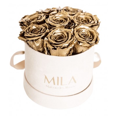 Produit Mila-Roses-00981 Mila Velvet Small Nude Velvet Small - Metallic Gold
