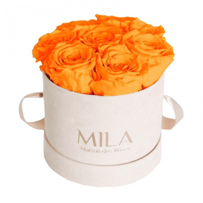 Mila Velvet Small Nude Velvet Small - Orange Bloom