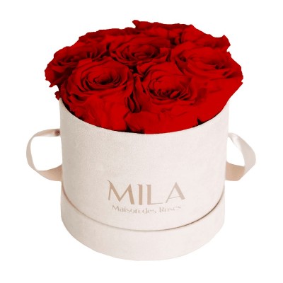 Produit Mila-Roses-00985 Mila Velvet Small Nude Velvet Small - Rouge Amour