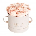  Mila-Roses-00986 Mila Velvet Small Nude Velvet Small - Pure Peach