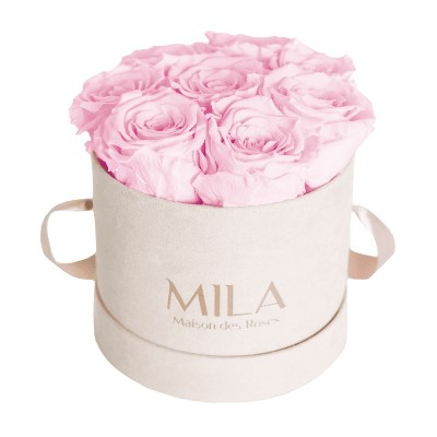 Produit Mila-Roses-00987 Mila Velvet Small Nude Velvet Small - Pink Blush