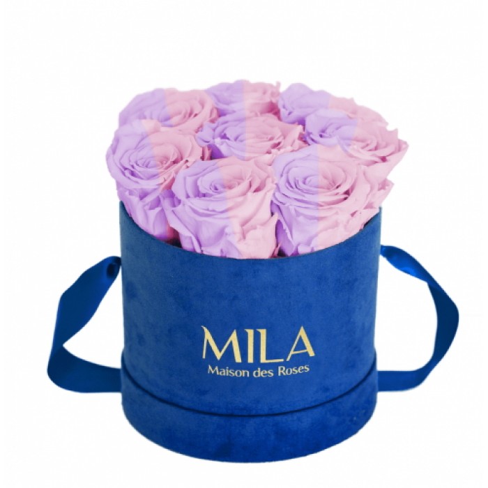 Mila Velvet Small Royal Blue Velvet Small - Vintage rose