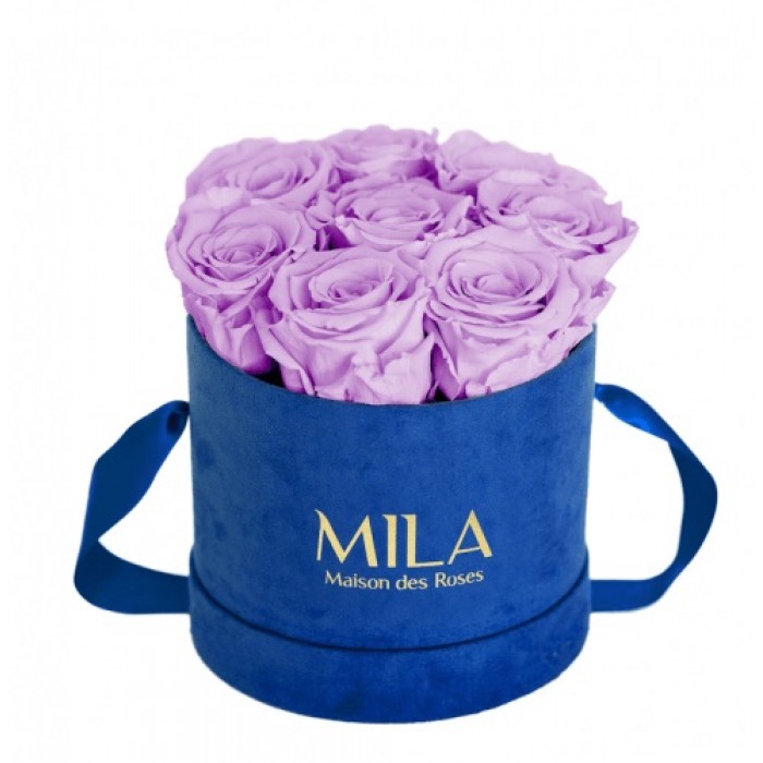 Mila Velvet Small Royal Blue Velvet Small - Lavender
