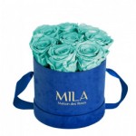  Mila-Roses-01000 Mila Velvet Small Royal Blue Velvet Small - Aquamarine