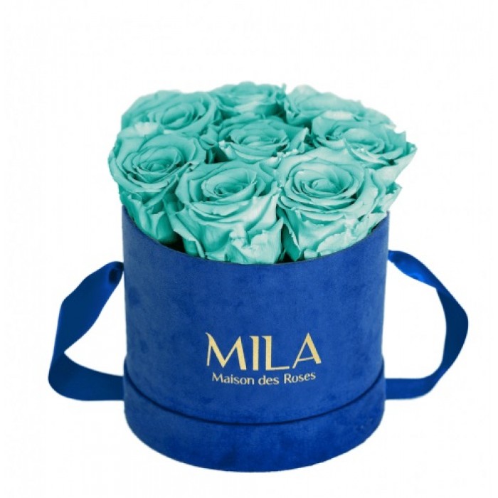 Mila Velvet Small Royal Blue Velvet Small - Aquamarine