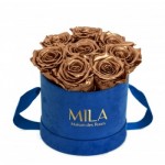 Mila-Roses-01003 Mila Velvet Small Royal Blue Velvet Small - Metallic Copper