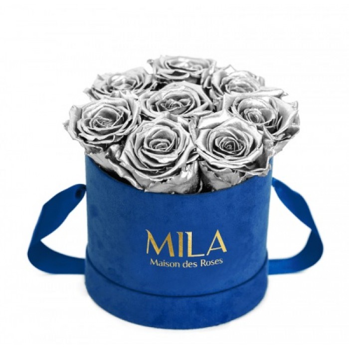 Mila Velvet Small Royal Blue Velvet Small - Metallic Silver