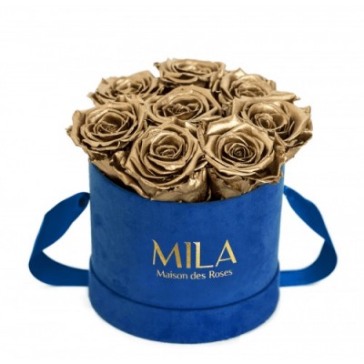 Produit Mila-Roses-01005 Mila Velvet Small Royal Blue Velvet Small - Metallic Gold