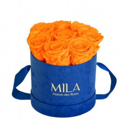 Produit Mila-Roses-01007 Mila Velvet Small Royal Blue Velvet Small - Orange Bloom