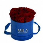 Mila-Roses-01008 Mila Velvet Small Royal Blue Velvet Small - Rubis Rouge