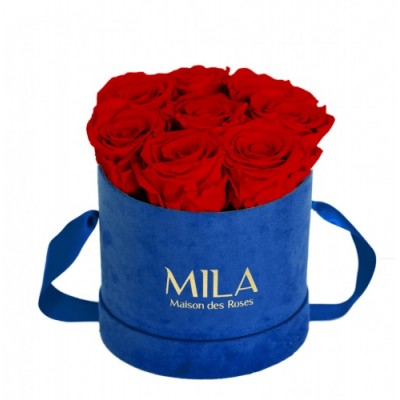 Produit Mila-Roses-01009 Mila Velvet Small Royal Blue Velvet Small - Rouge Amour