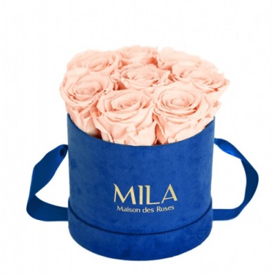 Produit Mila-Roses-01010 Mila Velvet Small Royal Blue Velvet Small - Pure Peach