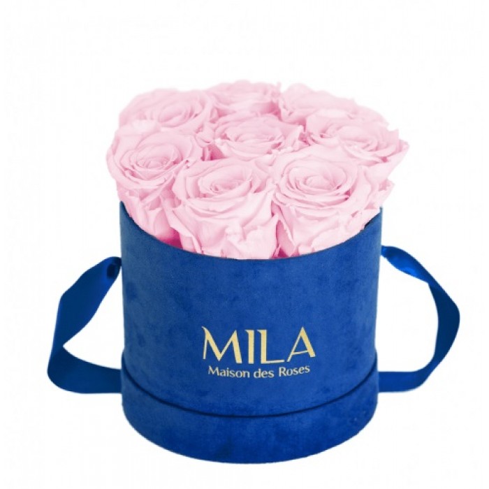 Mila Velvet Small Royal Blue Velvet Small - Pink Blush