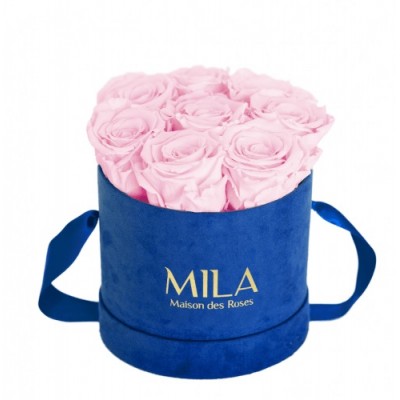 Produit Mila-Roses-01011 Mila Velvet Small Royal Blue Velvet Small - Pink Blush
