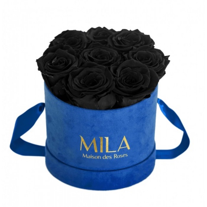 Mila Velvet Small Royal Blue Velvet Small - Black Velvet