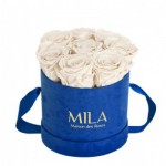  Mila-Roses-01014 Mila Velvet Small Royal Blue Velvet Small - White Cream