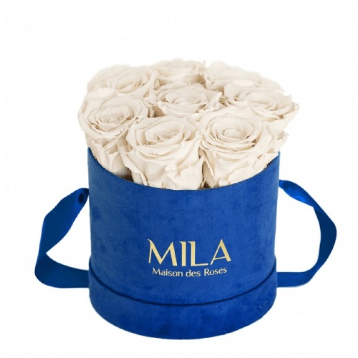 Mila Velvet Small Royal Blue Velvet Small - White Cream