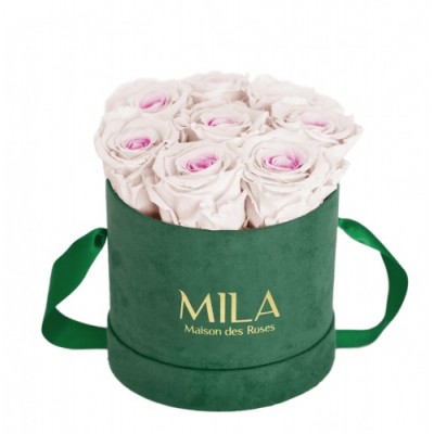 Produit Mila-Roses-01016 Mila Velvet Small Emeraude Velvet Small - Pink bottom