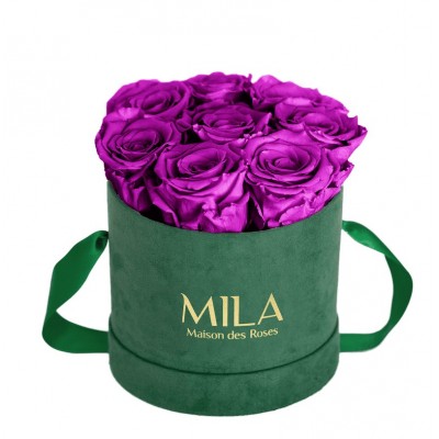 Produit Mila-Roses-01020 Mila Velvet Small Emeraude Velvet Small - Violin