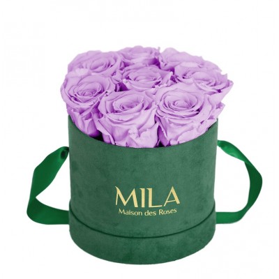 Produit Mila-Roses-01022 Mila Velvet Small Emeraude Velvet Small - Lavender