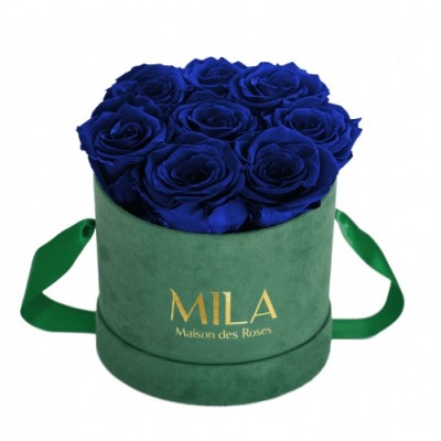 Produit Mila-Roses-01023 Mila Velvet Small Emeraude Velvet Small - Royal blue